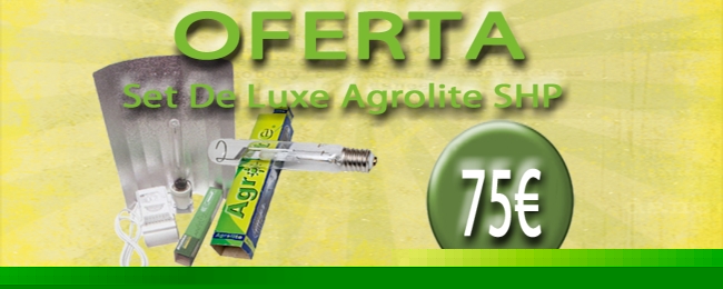 Grow Shop Online